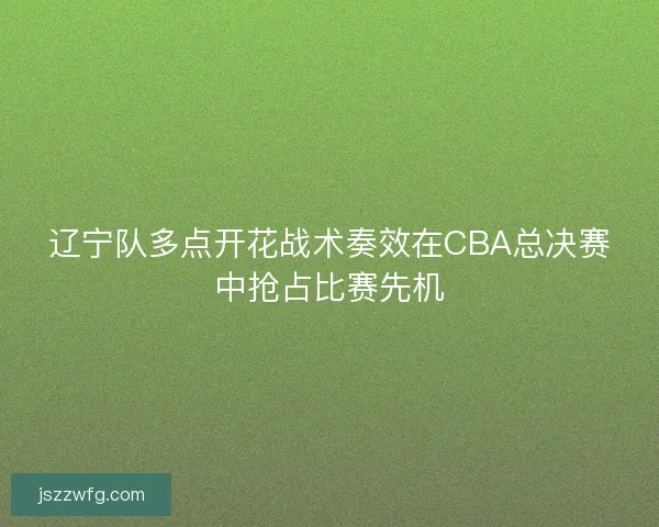 辽宁队多点开花战术奏效在CBA总决赛中抢占比赛先机