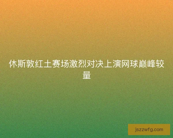 休斯敦红土赛场激烈对决上演网球巅峰较量